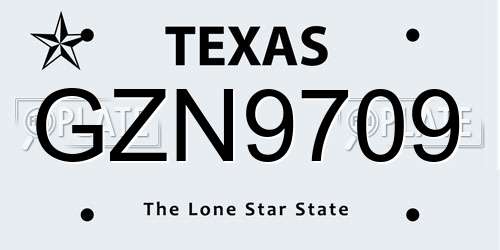 GZN9709 Texas License Plate