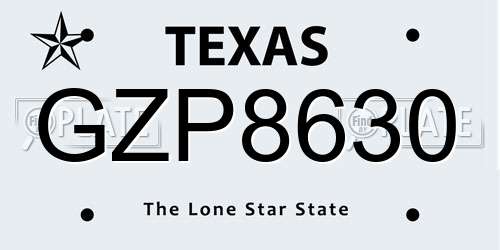 GZP8630 Texas License Plate