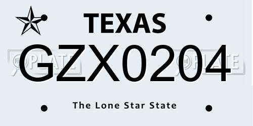 GZX0204 Texas License Plate