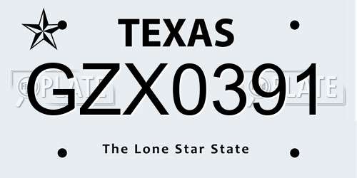 GZX0391 Texas License Plate