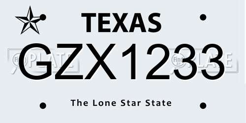 GZX1233 Texas License Plate