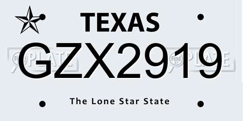 GZX2919 Texas License Plate