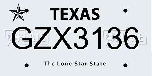 GZX3136 Texas License Plate