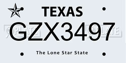 GZX3497 Texas License Plate