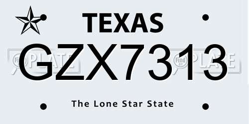 GZX7313 Texas License Plate
