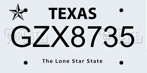 GZX8735 Texas License Plate