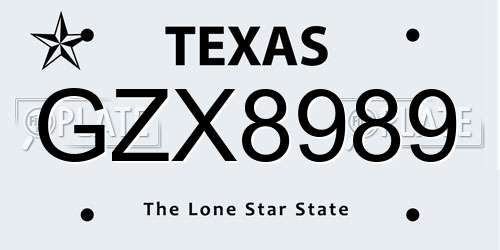 GZX8989 Texas License Plate