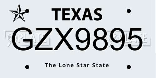 GZX9895 Texas License Plate