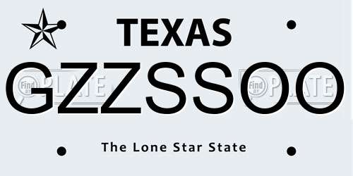 GZZSSOO Texas License Plate