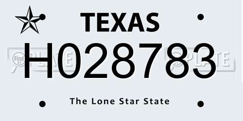 H028783 Texas License Plate