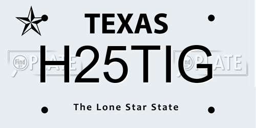 H25TIG Texas License Plate