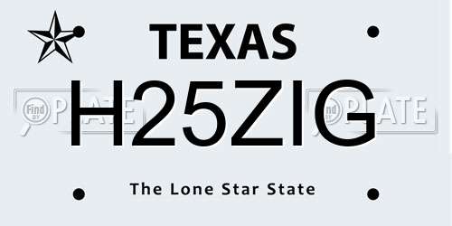 H25ZIG Texas License Plate