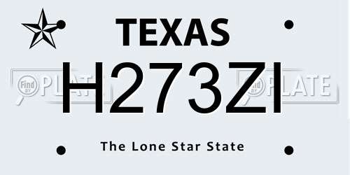 H273ZI Texas License Plate