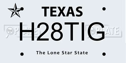H28TIG Texas License Plate