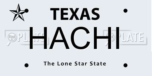 HACHI Texas License Plate