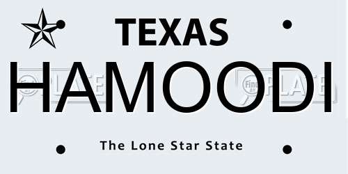HAMOODI Texas License Plate