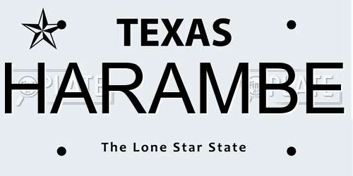 HARAMBE Texas License Plate