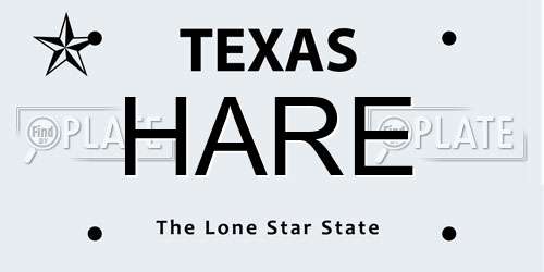 HARE Texas License Plate