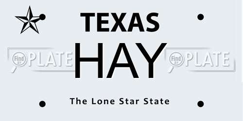 HAY Texas License Plate