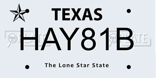 HAY81B Texas License Plate