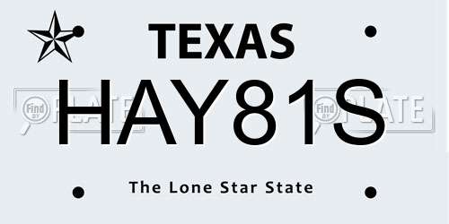 HAY81S Texas License Plate