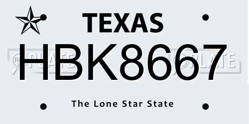 HBK8667 Texas License Plate