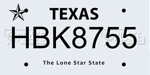 HBK8755 Texas License Plate