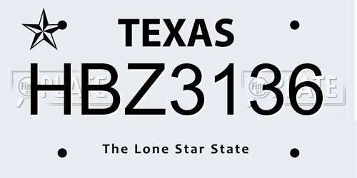 HBZ3136 Texas License Plate