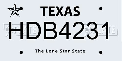 HDB4231 Texas License Plate