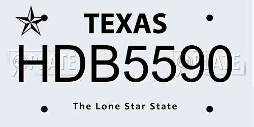 HDB5590 Texas License Plate