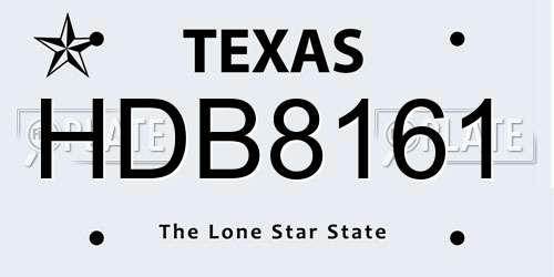 HDB8161 Texas License Plate