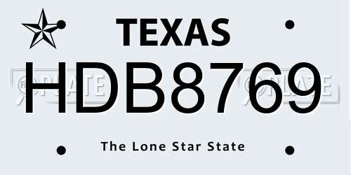 HDB8769 Texas License Plate
