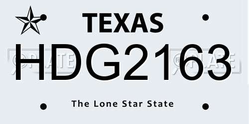 HDG2163 Texas License Plate
