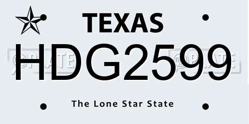 HDG2599 Texas License Plate