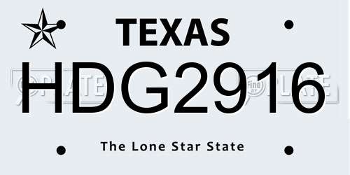 HDG2916 Texas License Plate