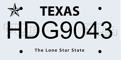 HDG9043 Texas License Plate