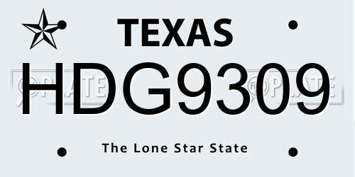 HDG9309 Texas License Plate