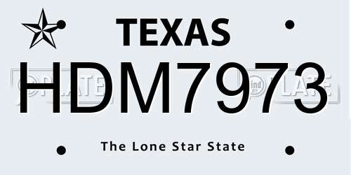 HDM7973 Texas License Plate