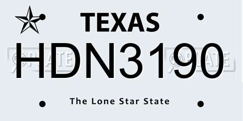 HDN3190 Texas License Plate
