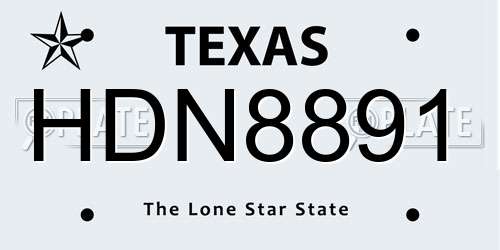 HDN8891 Texas License Plate
