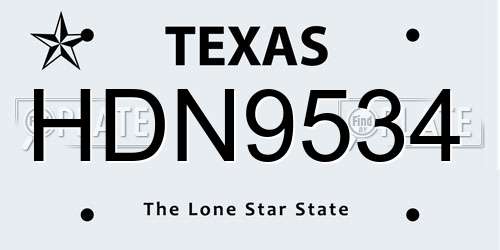 HDN9534 Texas License Plate