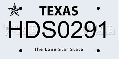 HDS0291 Texas License Plate