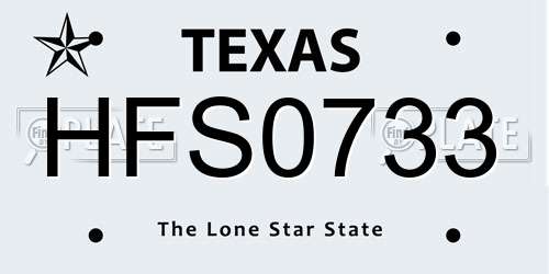 HFS0733 Texas License Plate