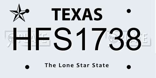 HFS1738 Texas License Plate