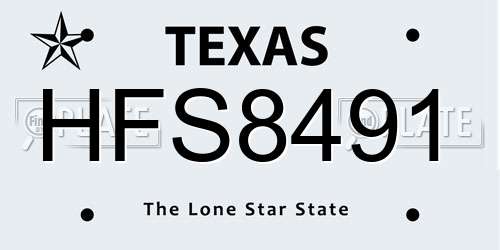 HFS8491 Texas License Plate