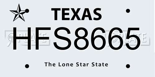 HFS8665 Texas License Plate
