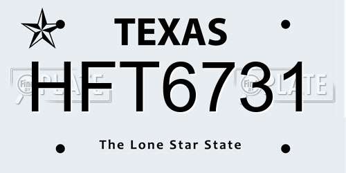 HFT6731 Texas License Plate