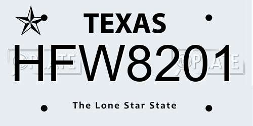 HFW8201 Texas License Plate