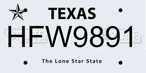 HFW9891 Texas License Plate