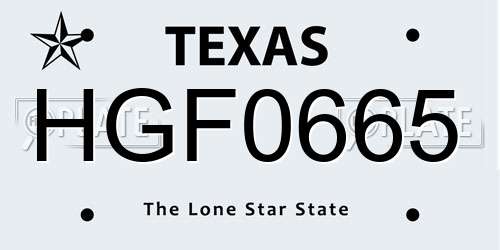 HGF0665 Texas License Plate